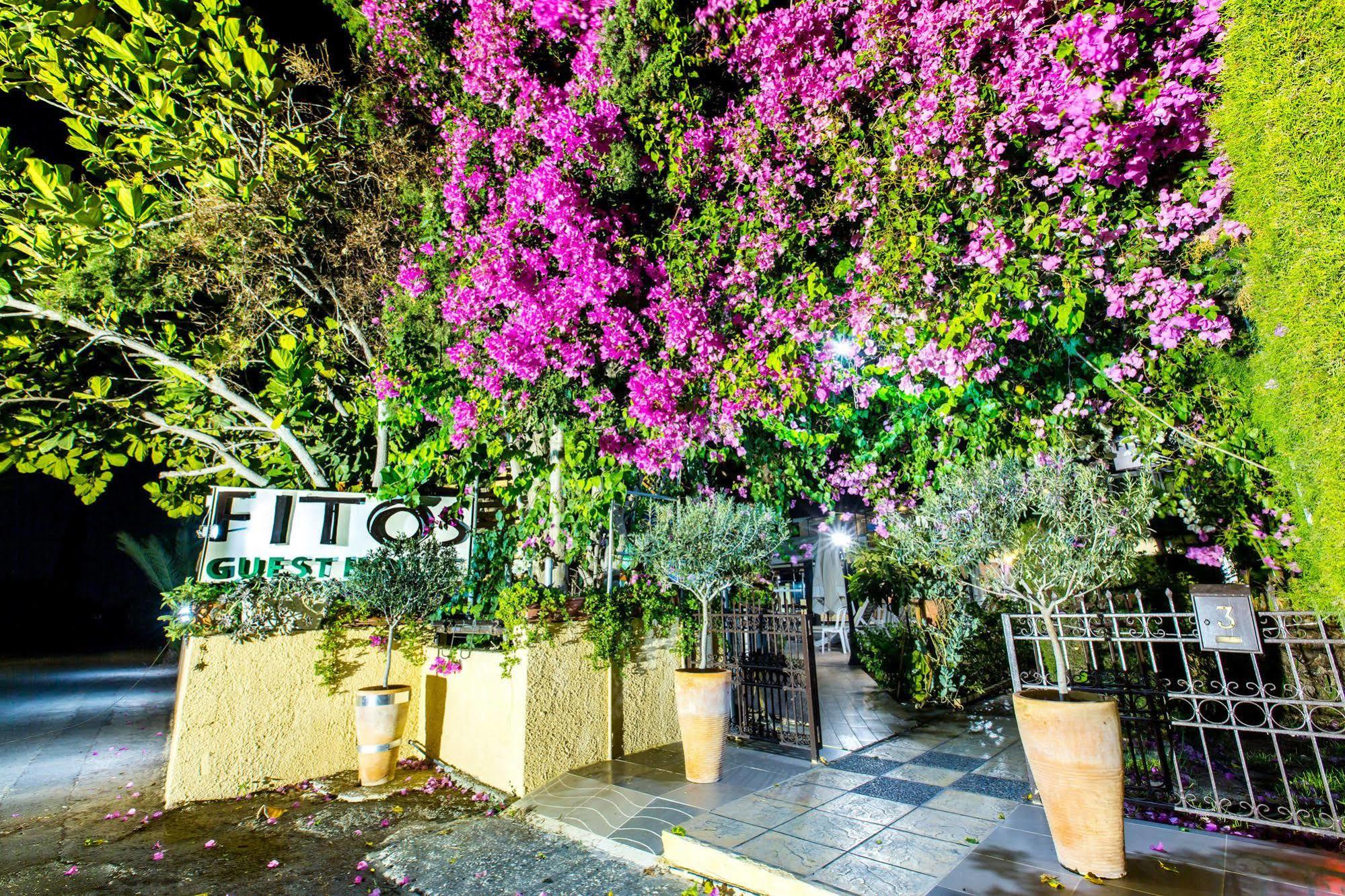 Fitosinn Hotel Geroskipou Exterior foto